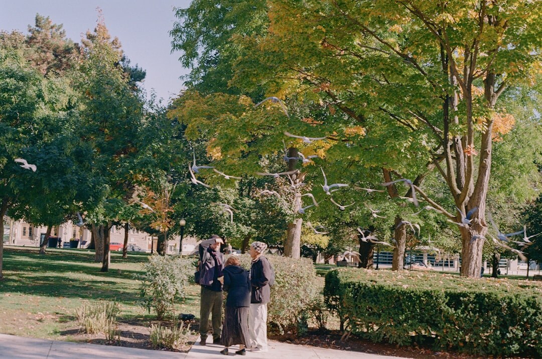 elderly group walking in park
