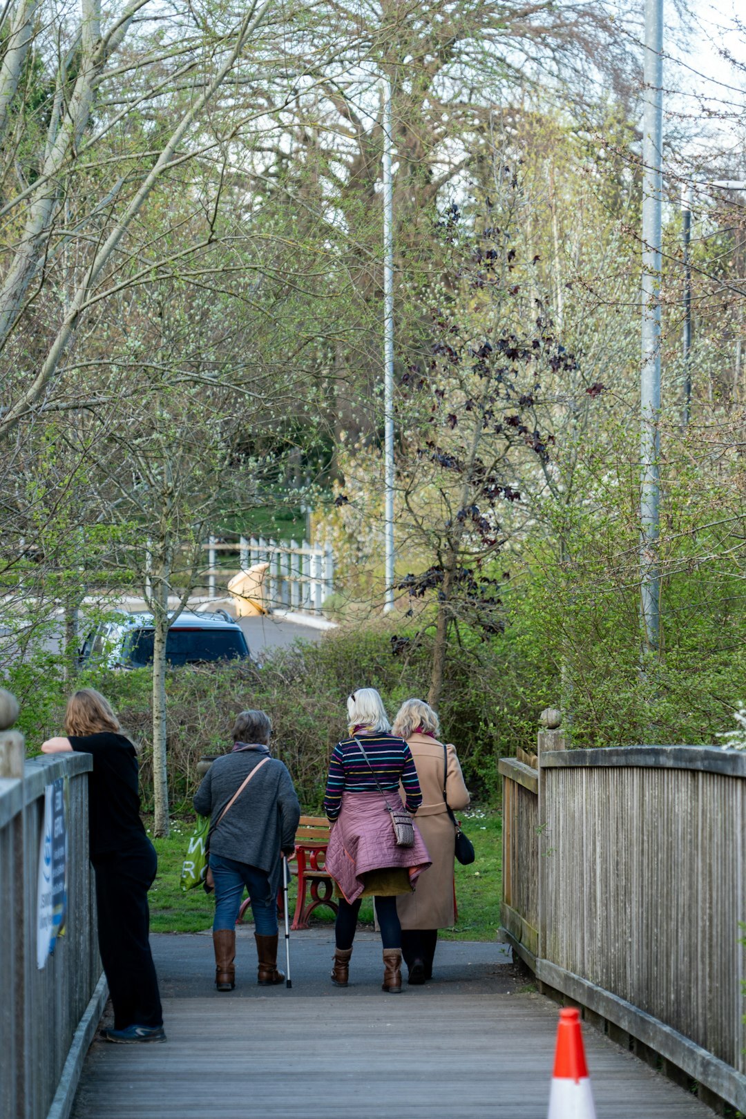 Group of seniors walking together through a neighborhood park