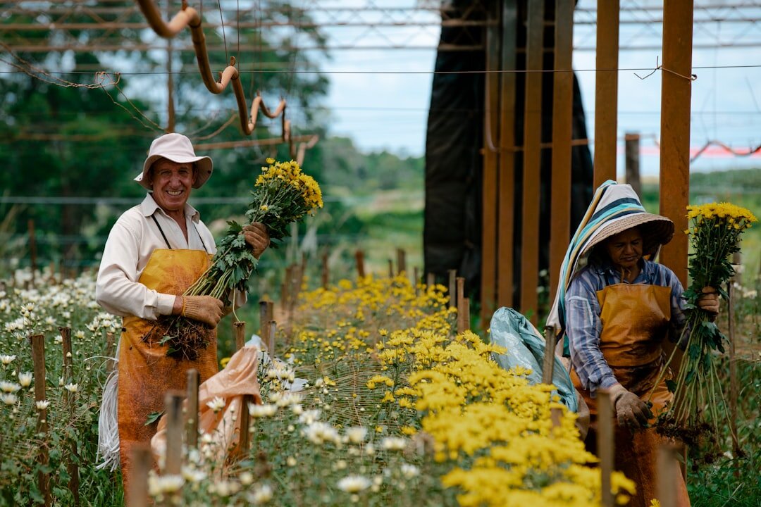 Elderly people gardening together and planting flowers